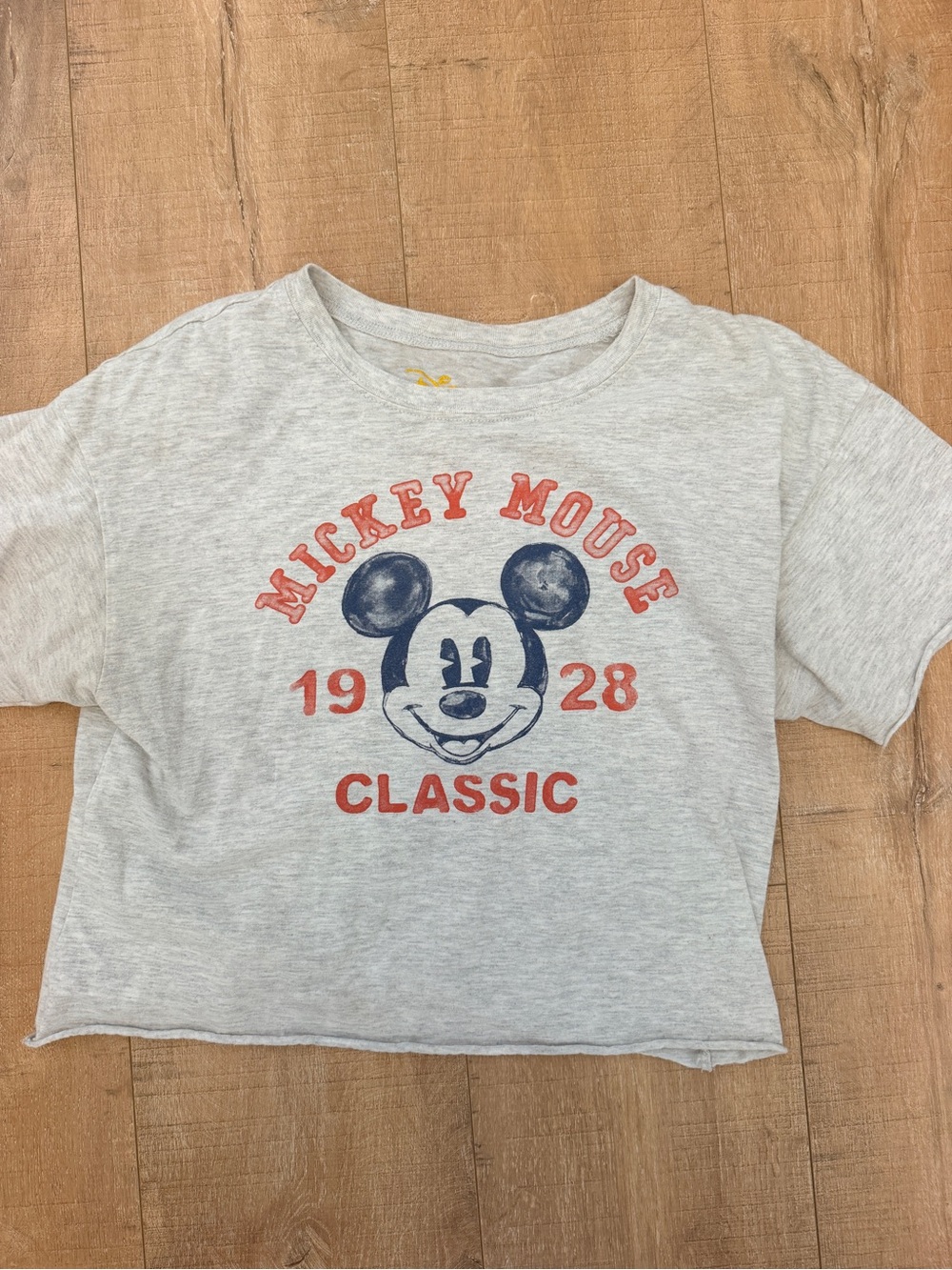 Disney Gray Tee with Red & Navy Mickey Graphic